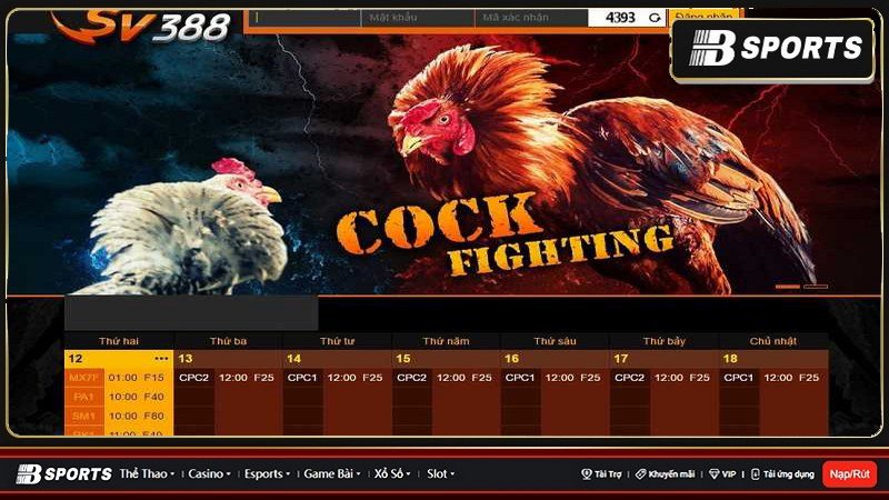 Casino SV388 - Nhà cái đá gà trực tuyến hàng đầu hiện nay