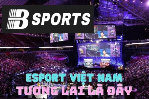Kết luận esport là gì Kết luận esport là gì