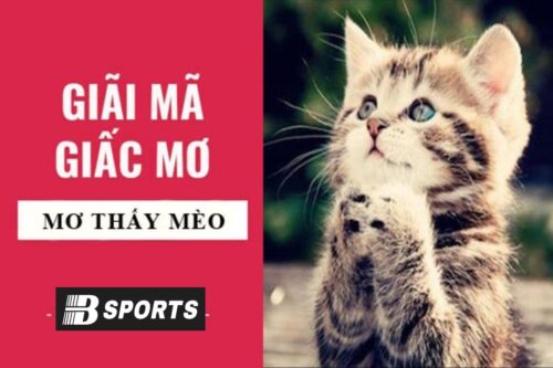 Nằm mơ thấy mèo nghĩa là gì Nằm mơ thấy mèo nghĩa là gì