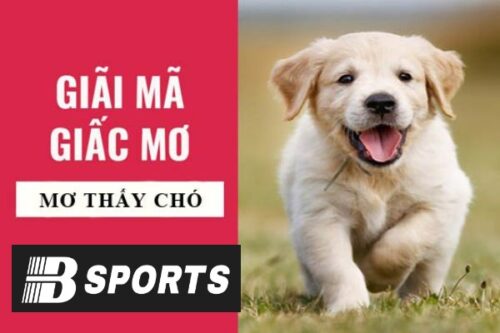 Giải mã nằm mơ thấy chó là mang điềm báo như thế nào Giải mã nằm mơ thấy chó là mang điềm báo như thế nào
