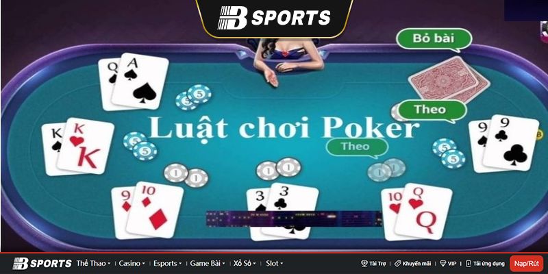Tên gọi chính xác của người chơi theo luật poker Tên gọi chính xác của người chơi theo luật poker