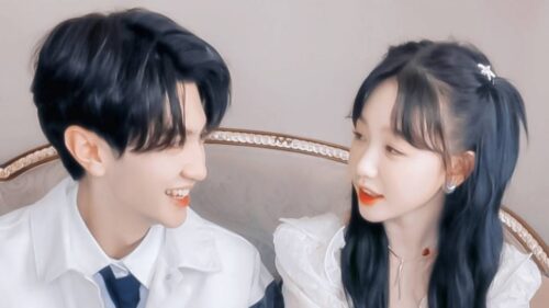 Cặp đôi gà bông Cặp đôi gà bông