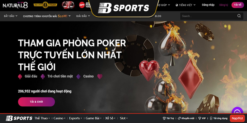 Giới thiệu về n8 poker Giới thiệu về n8 poker