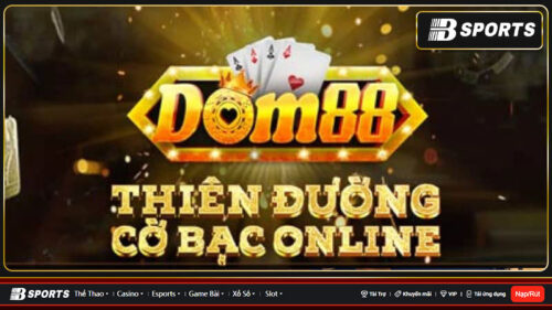 dom88-3