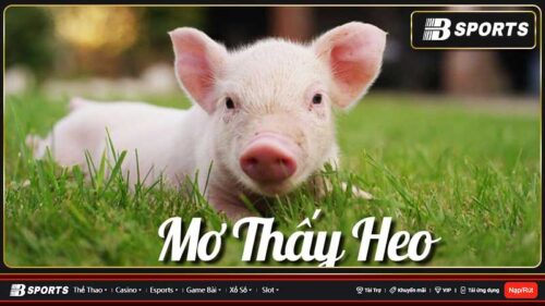 Mơ thấy heo đánh con gì?